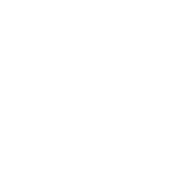wine icon